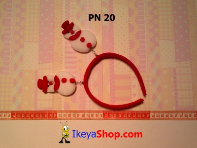 PN 20  large2